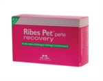 Ribes Pet Recovery 60 perle