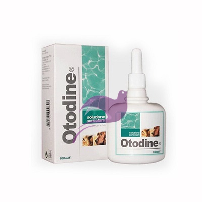 Otodine Soluzione Detergente Auricolare 100 ml