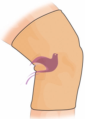 Gibaud Ginocchiera Sport Camel taglia 1