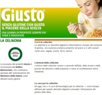 Giusto Linea Farine e Preparati Preparato per Pizza Prodotto senza Glutine 440 g