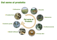 Aboca Integratori Linea Sonno e Serenità Biancospino Concentrato 50 Opercoli