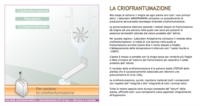 Arkocapsule Linea Tonificante Mentale Integratore Ginseng Defatigante 90 Capsule